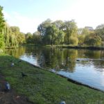 St. James Park